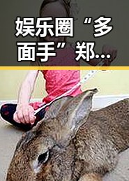 娱乐圈“多面手”郑凯的现状与过往揭秘