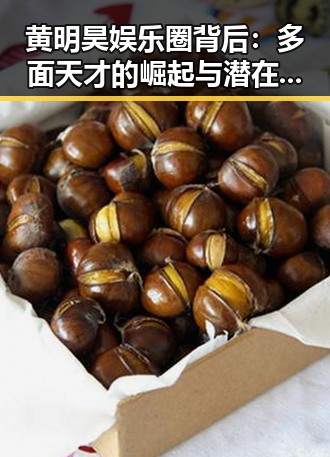 黄明昊娱乐圈背后：多面天才的崛起与潜在隐忧