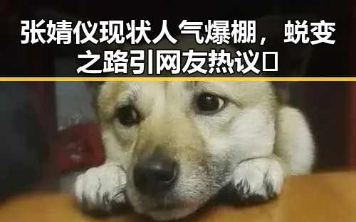 张婧仪现状人气爆棚，蜕变之路引网友热议🔥